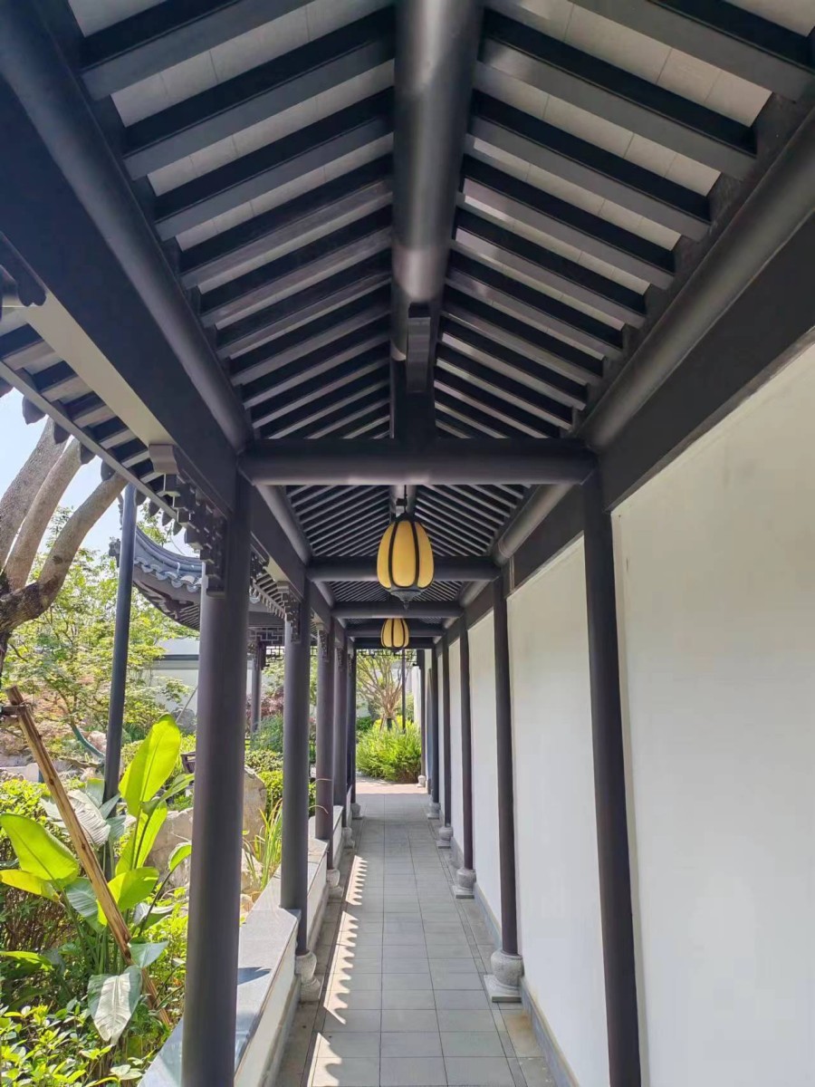 庭院