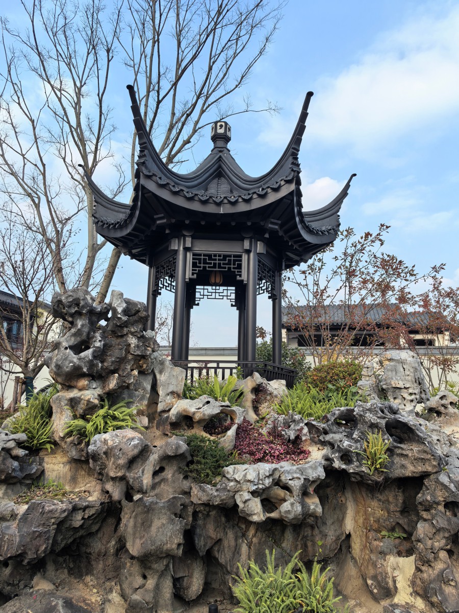 庭院