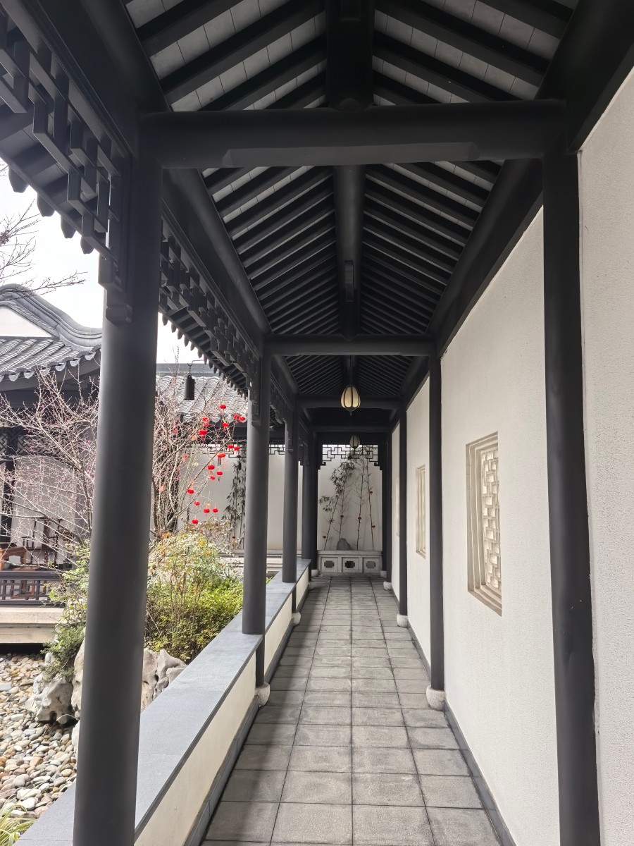 庭院