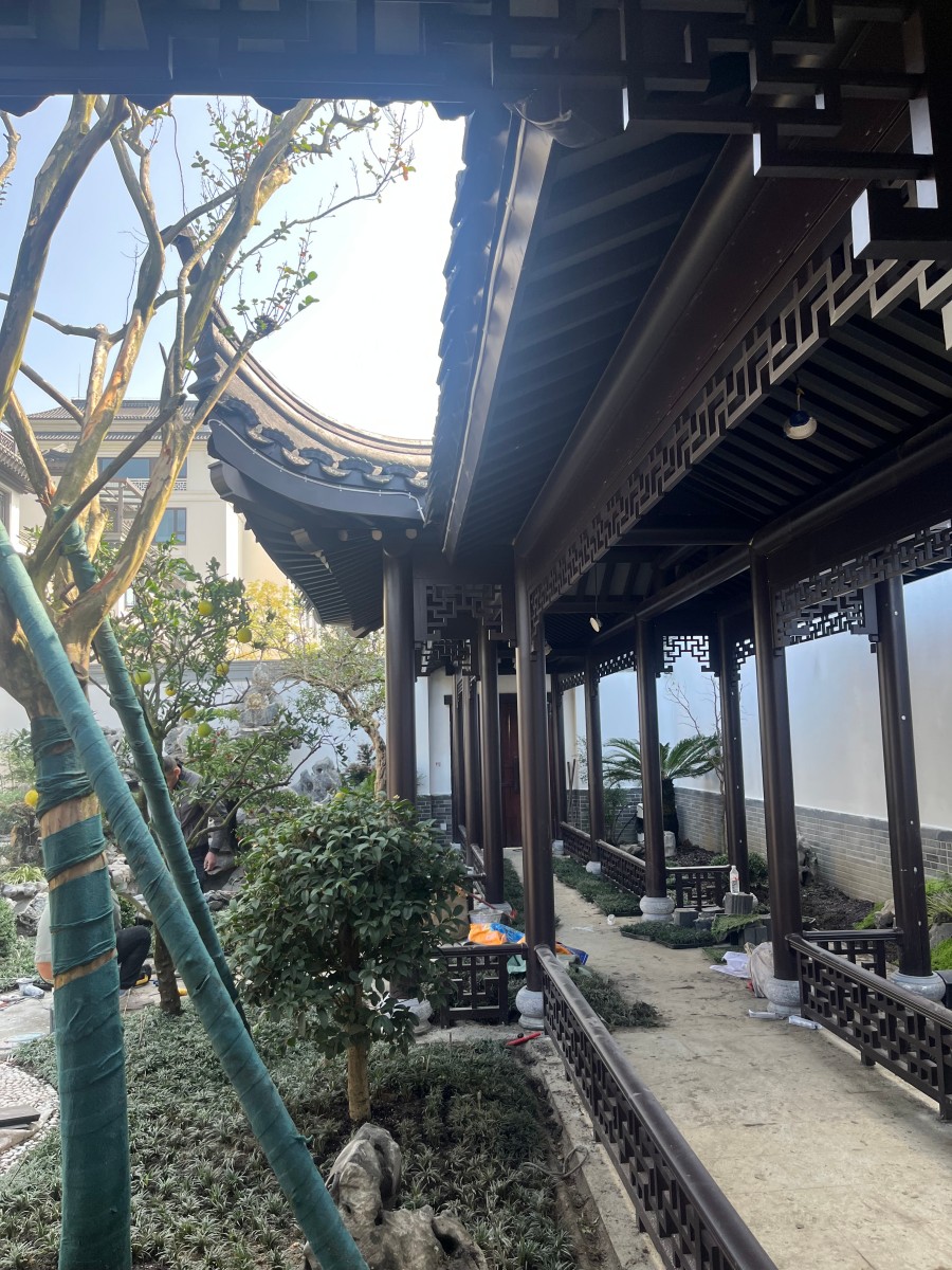 庭院