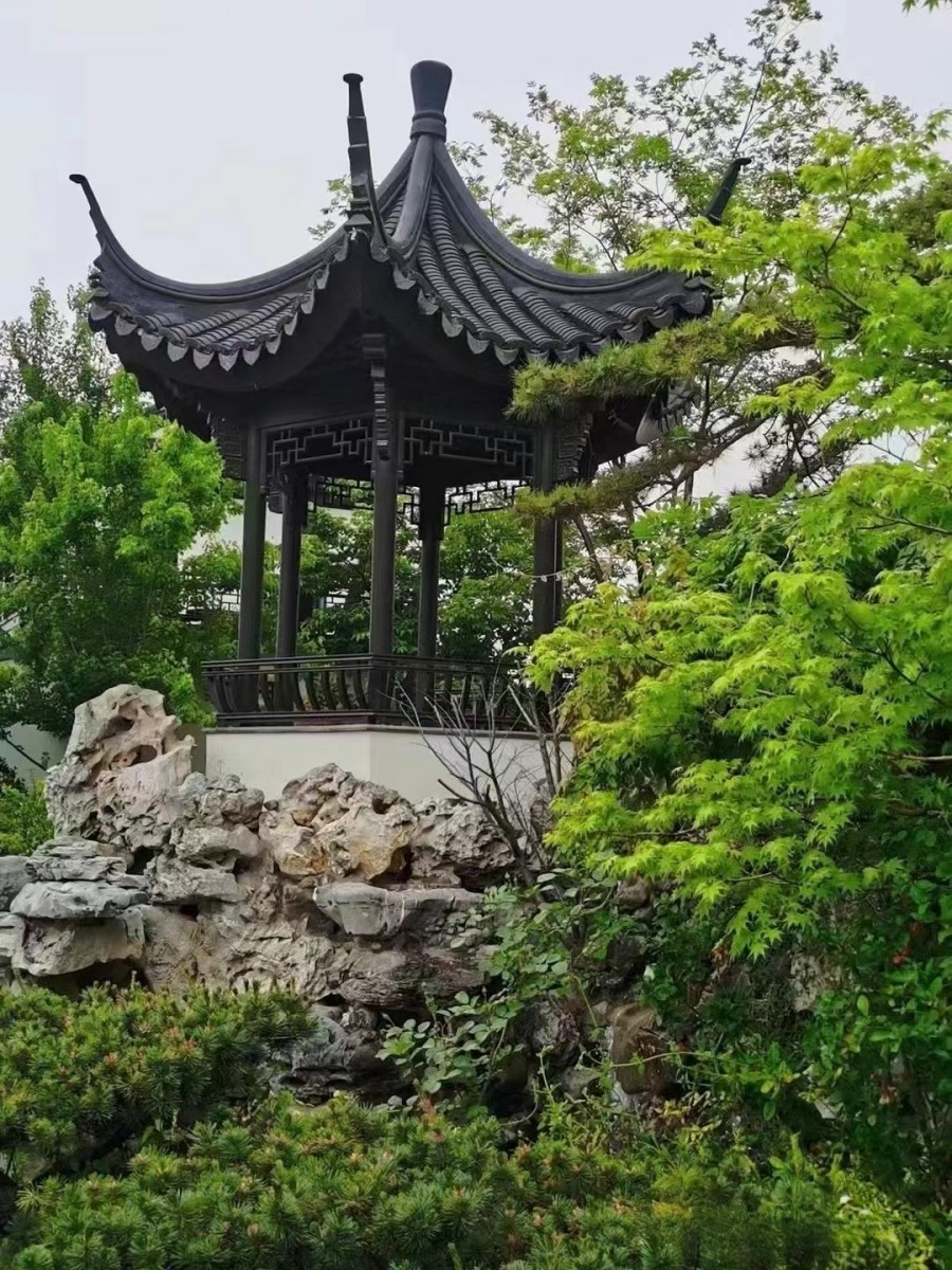 庭院